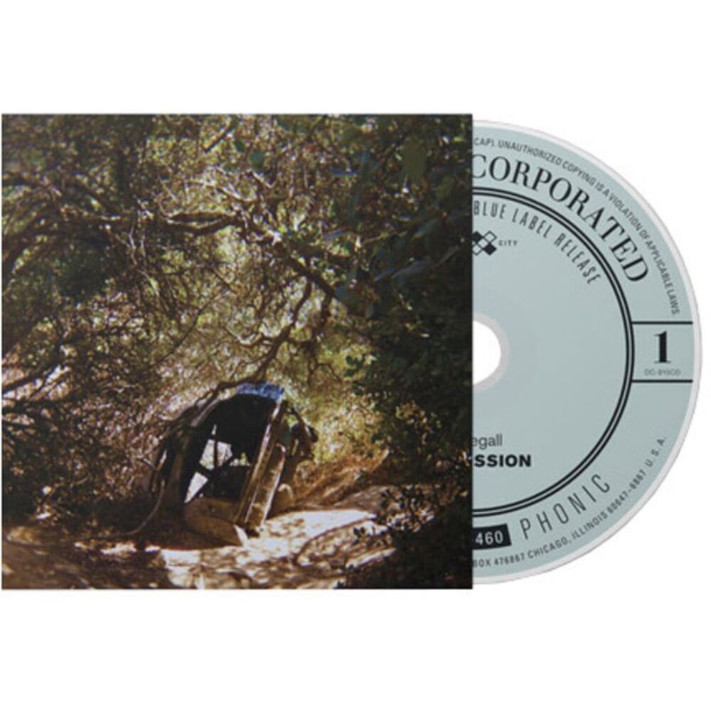 Ty Segall - Possession  CD